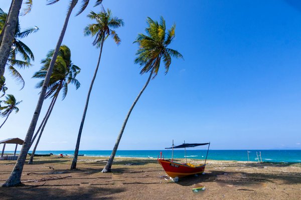 Comment trouver une location atypique dans un ancien moulin hollandais rénové?