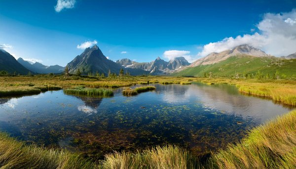 Une croisière peut-elle inclure une visite des sites de la bataille de l'Atlantique?