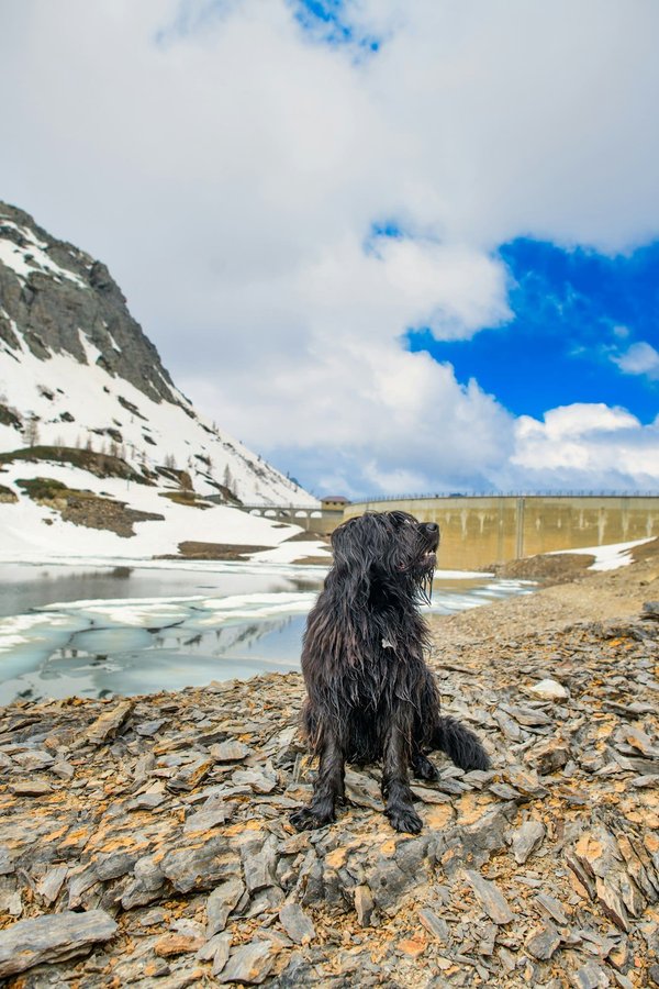 Quelle est la meilleure saison pour suivre la transhumance avec les nomades au Kirghizistan ?